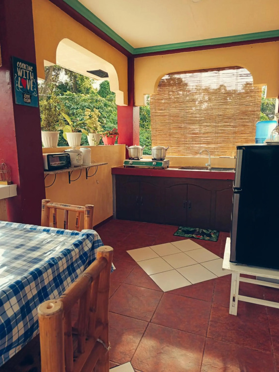 Peace Lily Studio Apartments Panglao