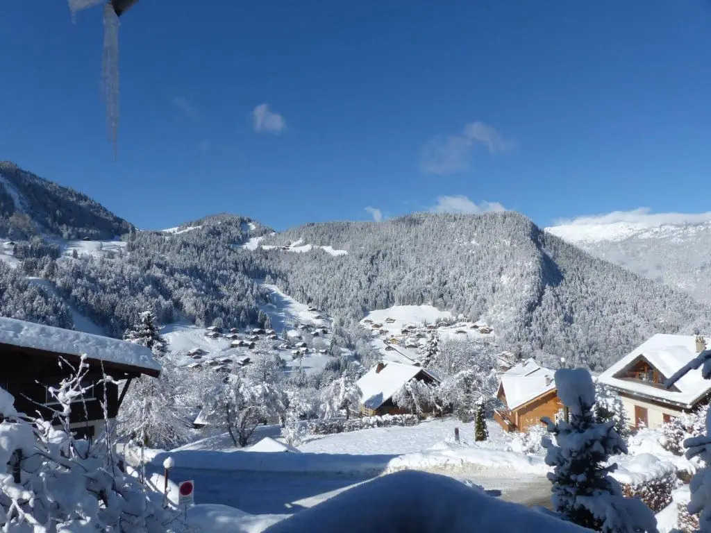 Appartement La Clusaz, 3 pièces, 6 personnes - FR-1-437-27