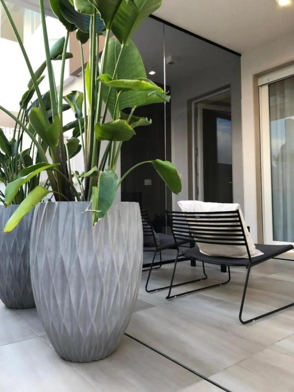 golden suites 50