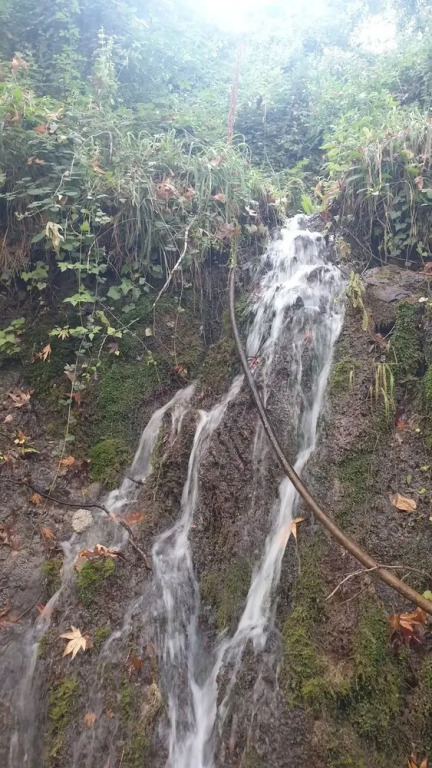 Zeyve Lavanta Tatil Köyü