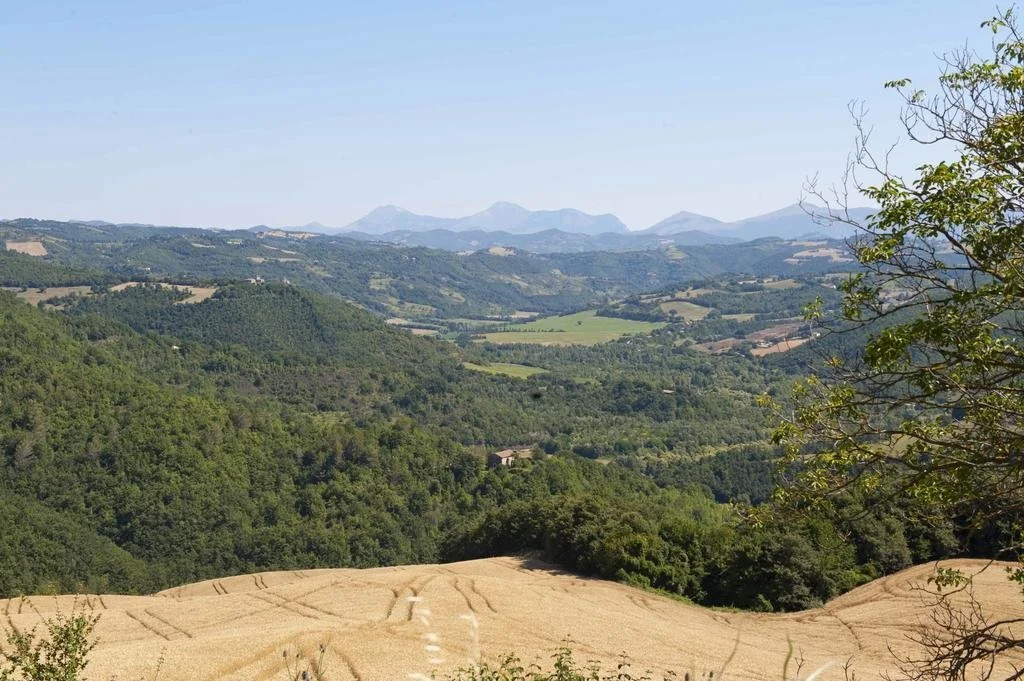 Tenuta di Biscina