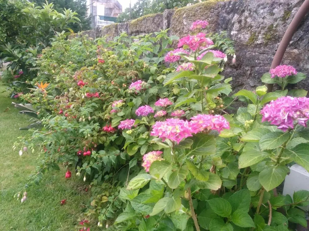 Hotel Mira DAire