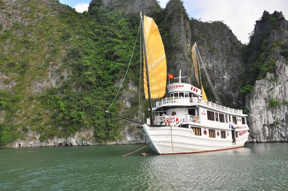 Calypso Cruiser