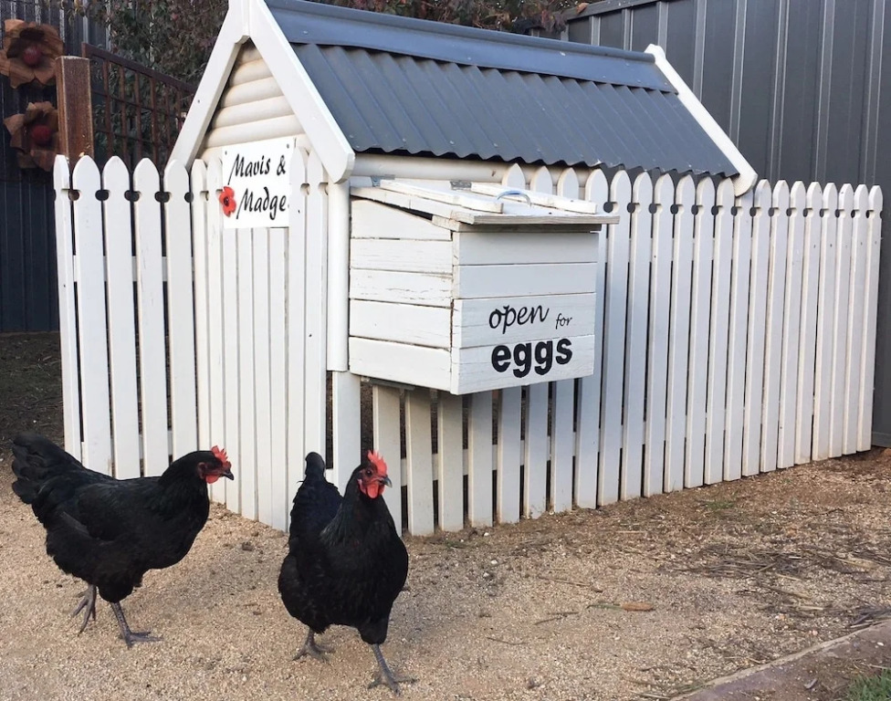 Thelma's Temora