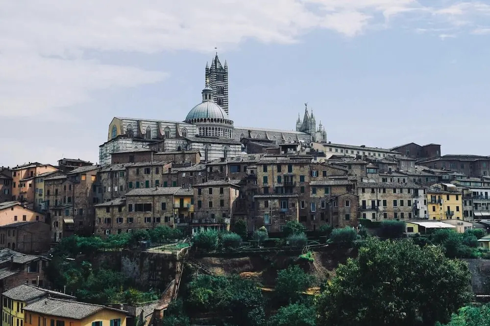 Rinidia - Siena Celso Cittadini Grande