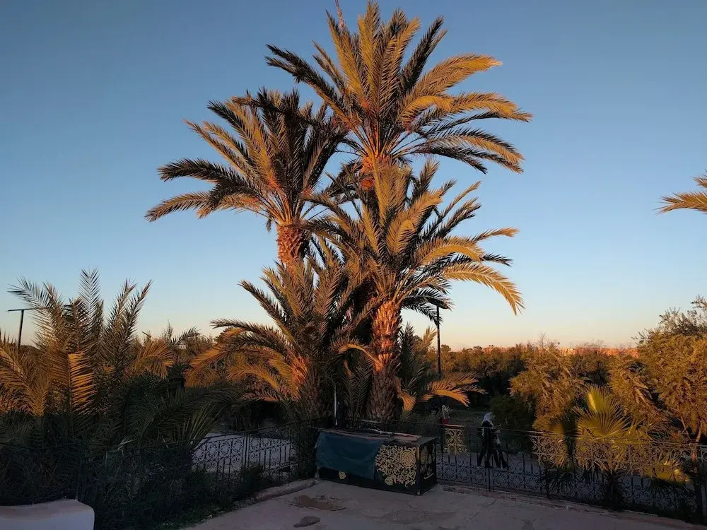 Apartment Marrakech at Omar
