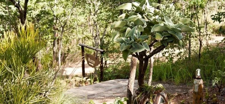 Musangano Lodge