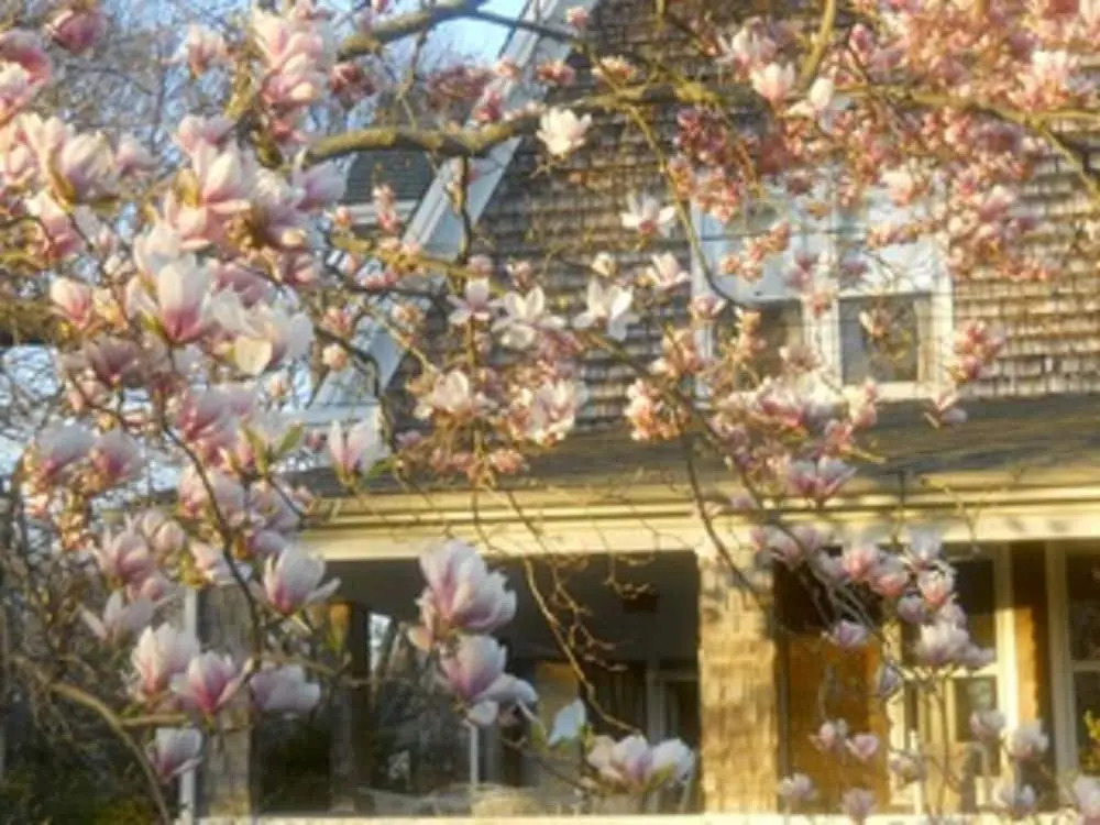 Orient Inn