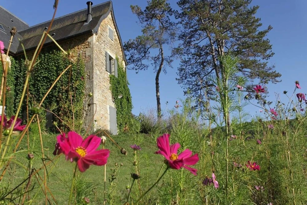 Domaine Le Broual