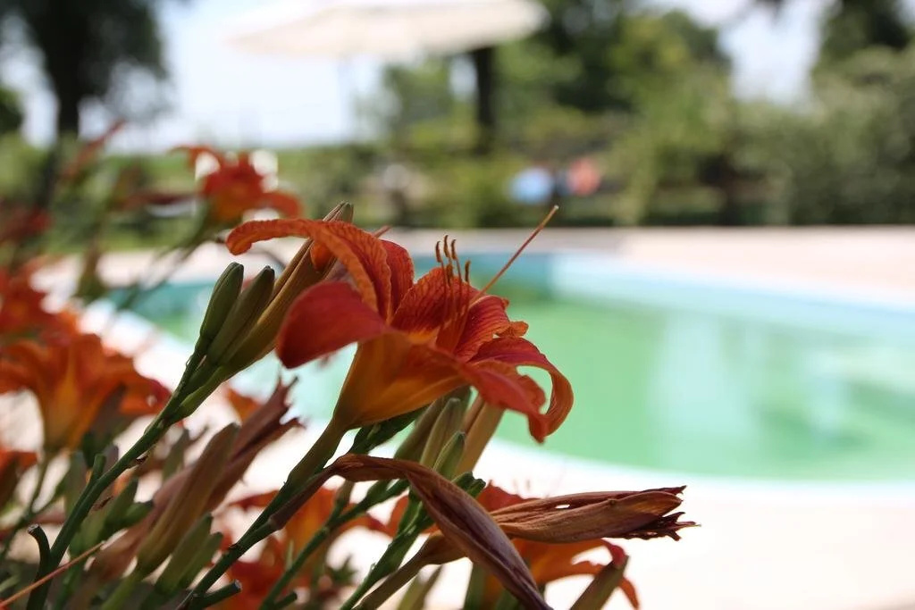 Agriturismo Ca Alleata