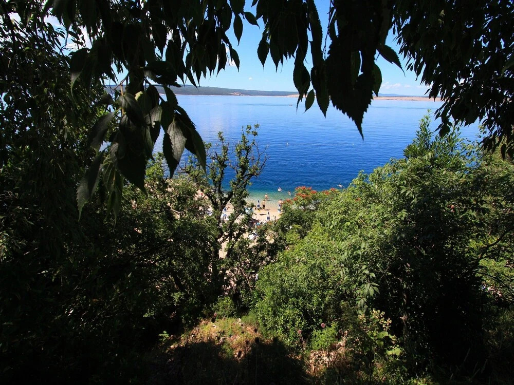 Senka