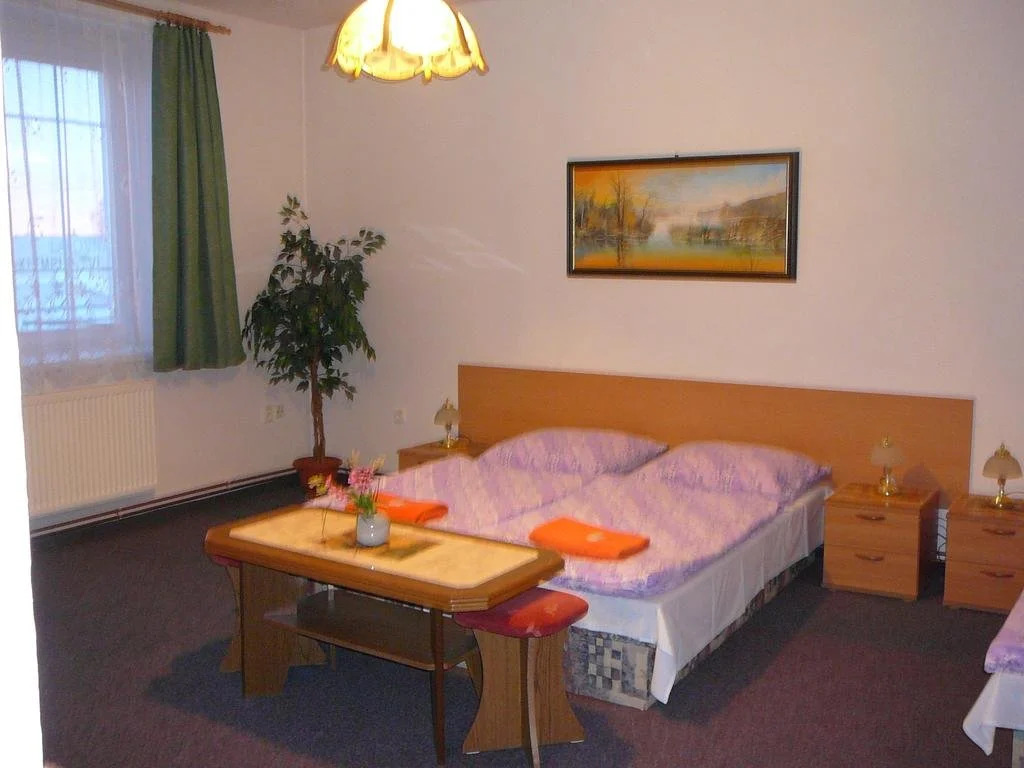 Pension a Restaurace U Mydlářů