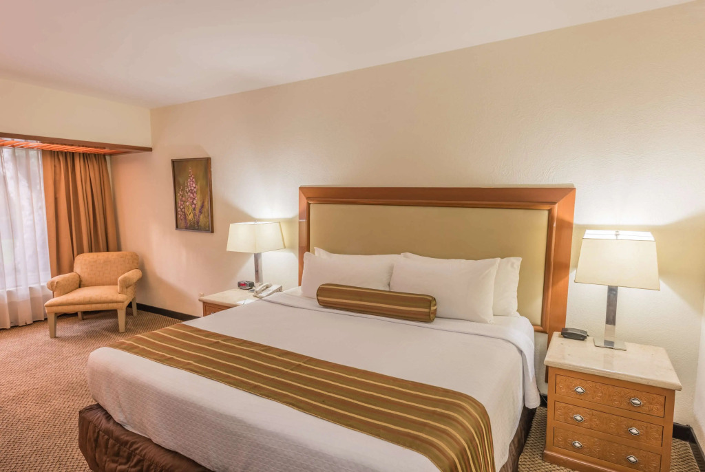 Wyndham Garden Guadalajara Expo Plaza del Sol