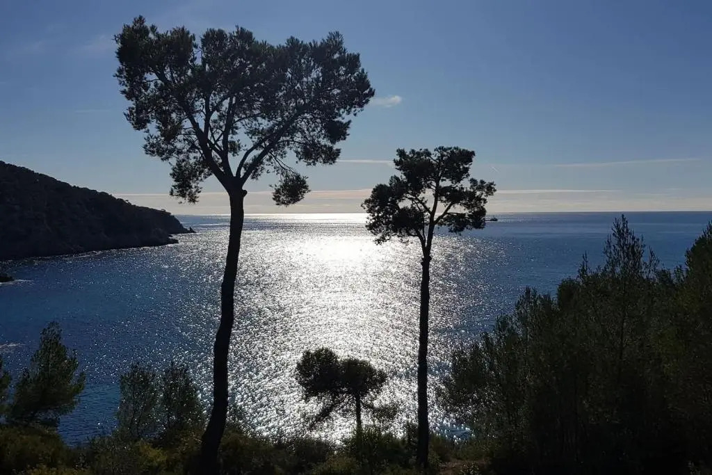 Appart T1 centre BANDOL dans Résidence de charme