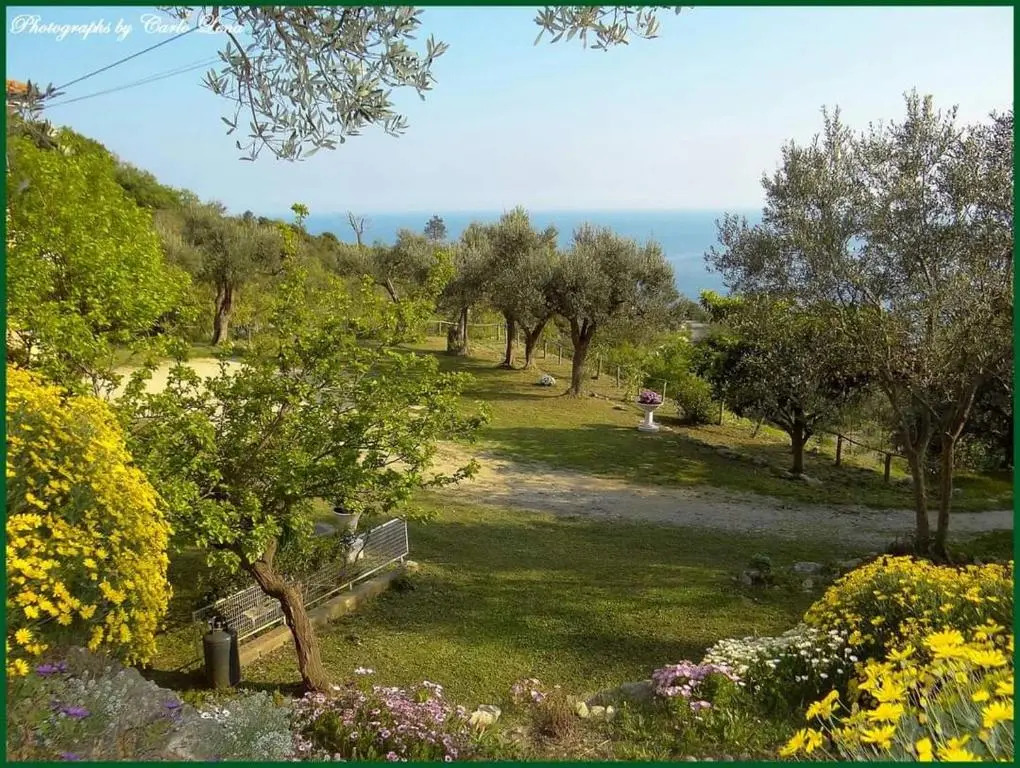 Villa Pierina
