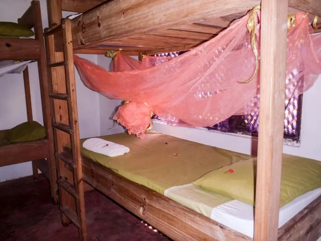 Gecko Nature Lodge & Swahili Divers