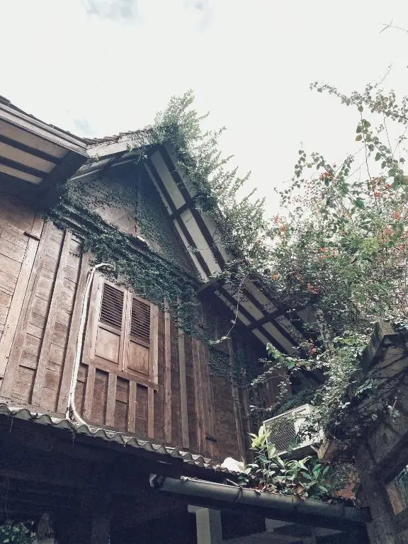 Pumba Homestay