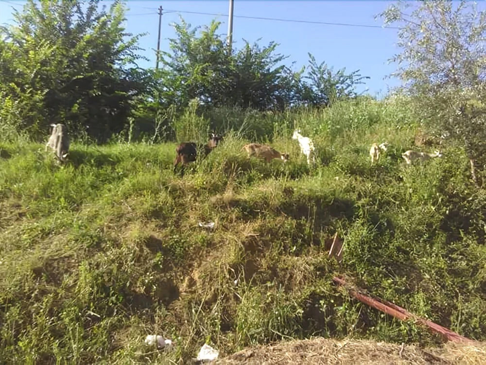 Agriturismo Ca' d'Fredu'