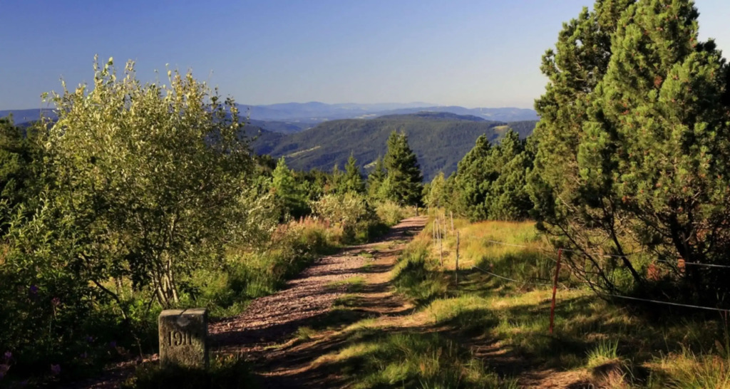 Wellness-& Nationalpark Hotel Schliffkopf, BWSC