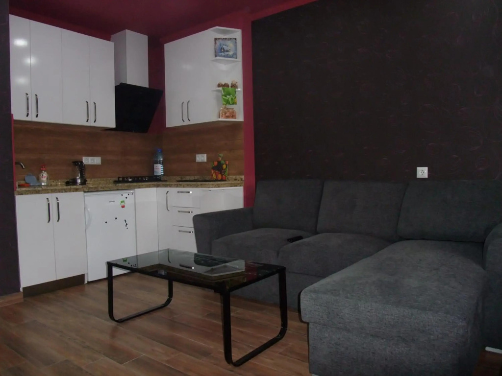 Apartment with Black Sea view
