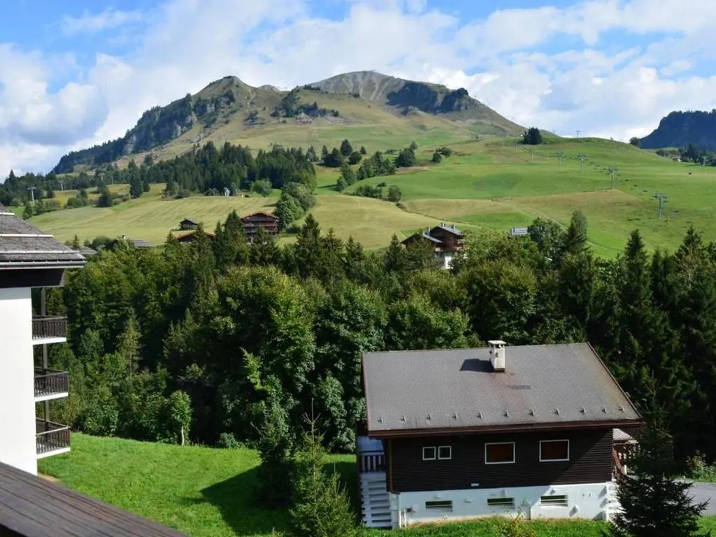 Appartement Le Grand-Bornand, 1 pièce, 5 personnes - FR-1-241-3