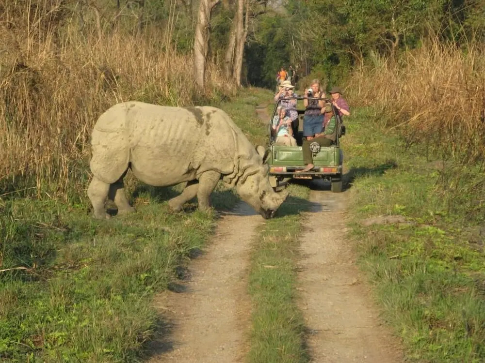 Rhino Land Jungle Lodge