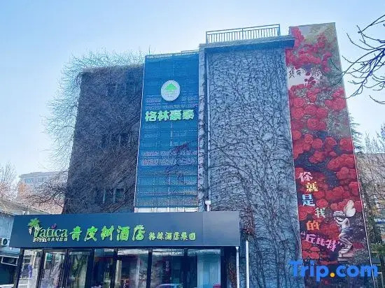 Vatica Hotel (Tai'an Taishan Station Daimiao)