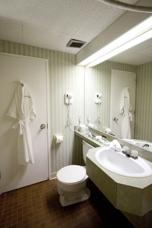 Rodd Grand Yarmouth