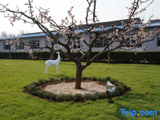 Tingqian Yuanhou Hostel