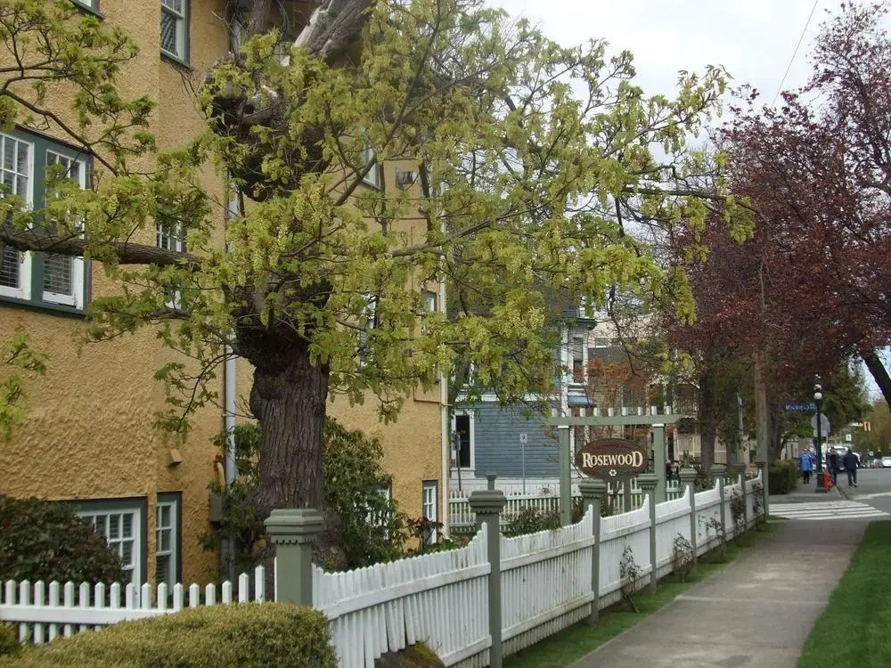 Rosewood Inn