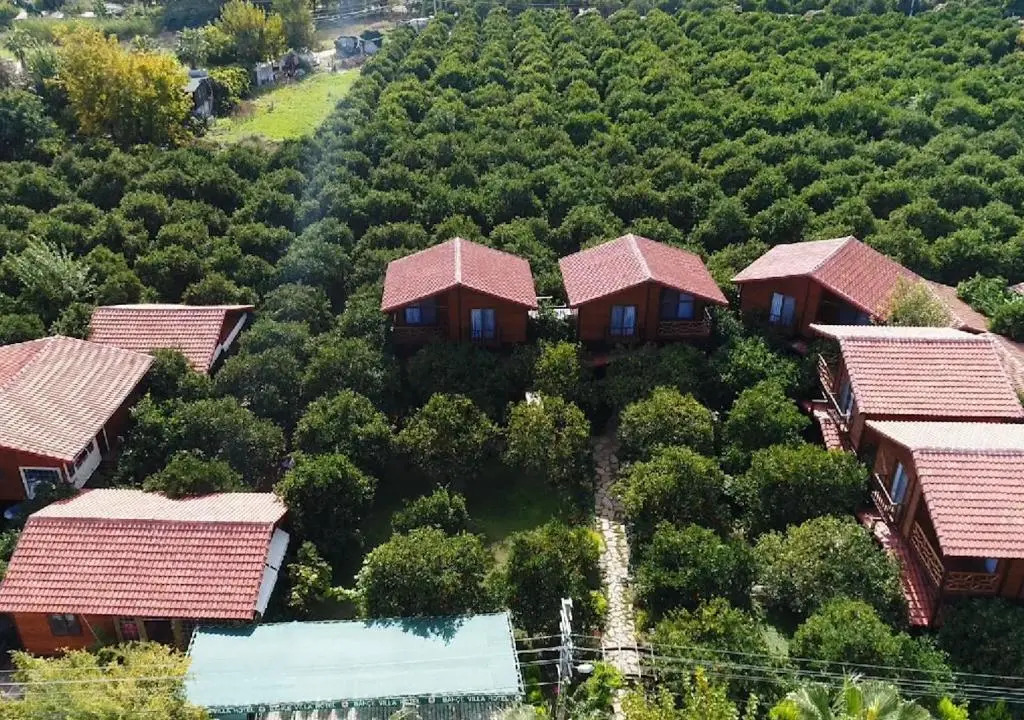 Bahçe Villa