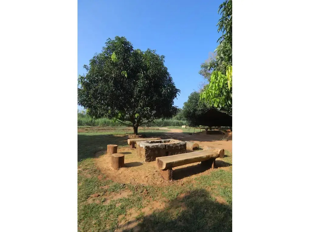 Camp Hasthi