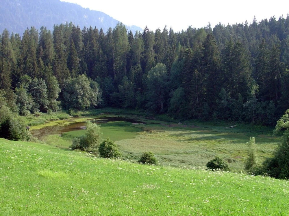 Casa Migiur Laax in Laax