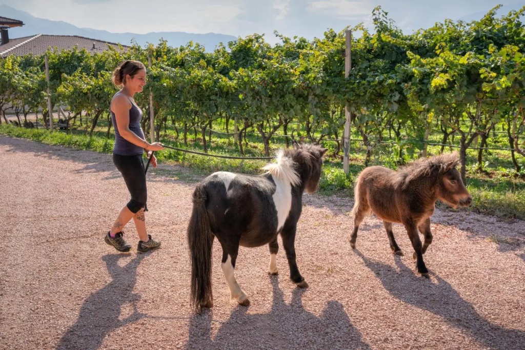 Agritur Maso Librar