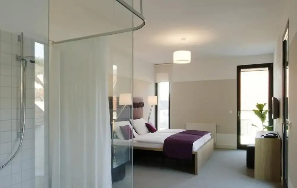 Hotel Zur Schonenburg