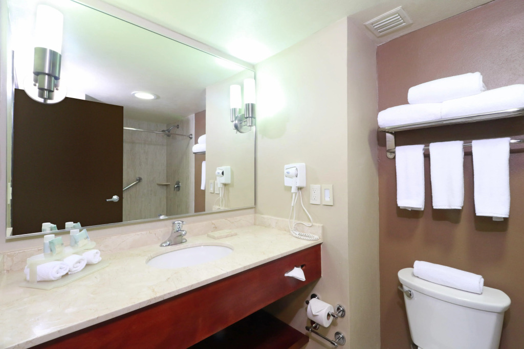 Holiday Inn Express Guadalajara Aeropuerto by IHG