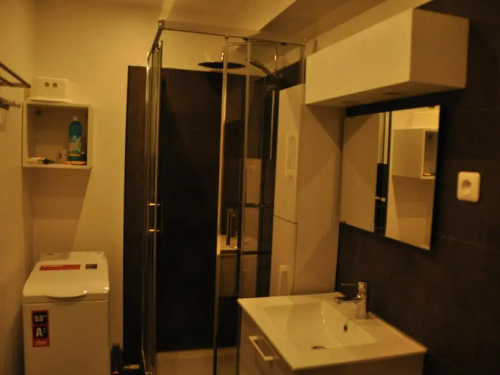 Appartement Les Deux Alpes, 1 pièce, 4 personnes - FR-1-348-223