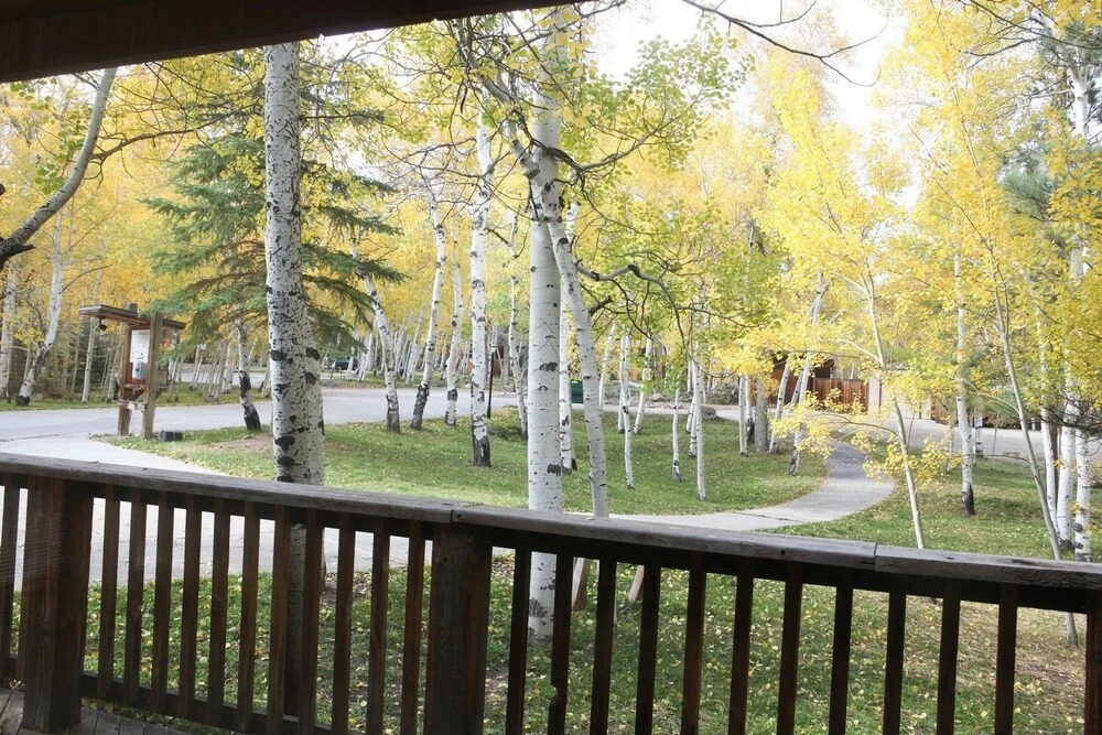 Mt. Columbia Chalet at Creekside Chalets - 3 Br Cabin