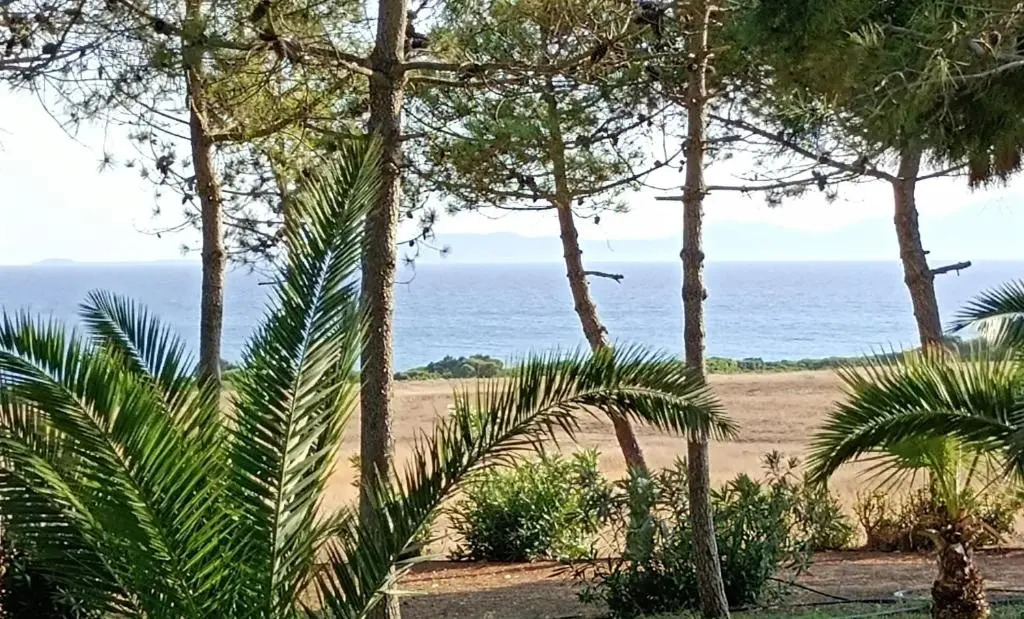 Kipriotis Hotel