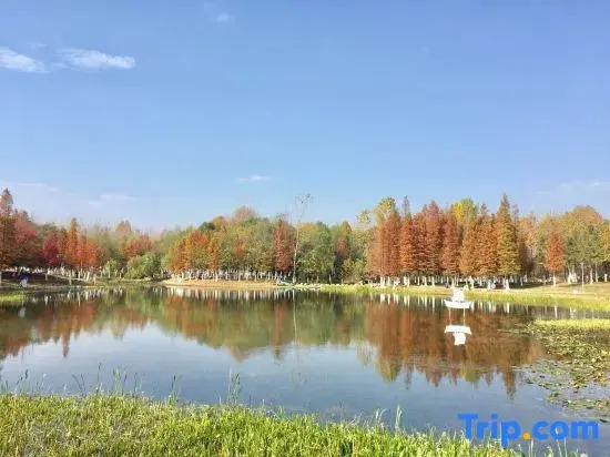 Ruijing Youxuan Hotel (Hefei Linhu Community)