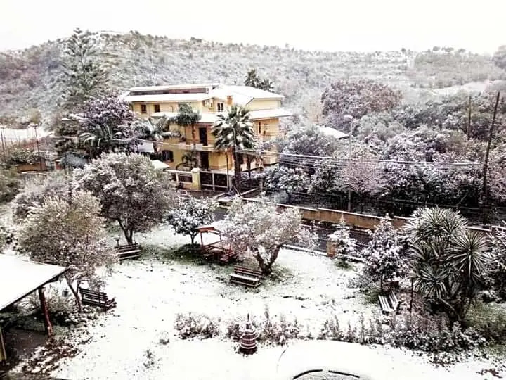 Punto Verde B&B