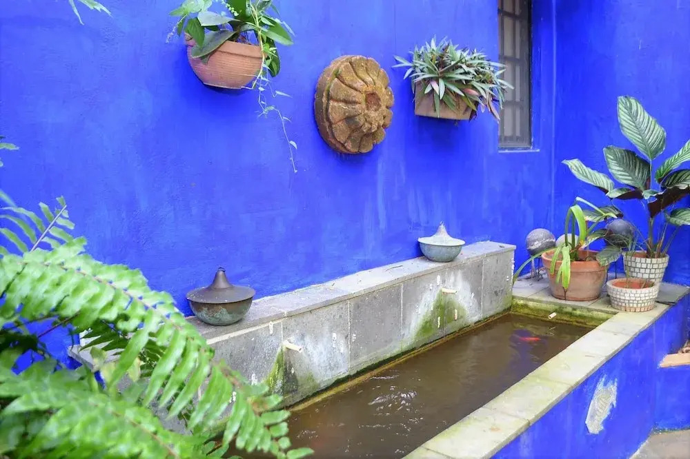 Casa Azul by MDR