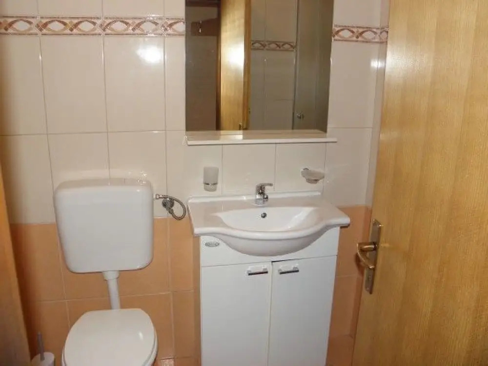 Apartments Vladimir