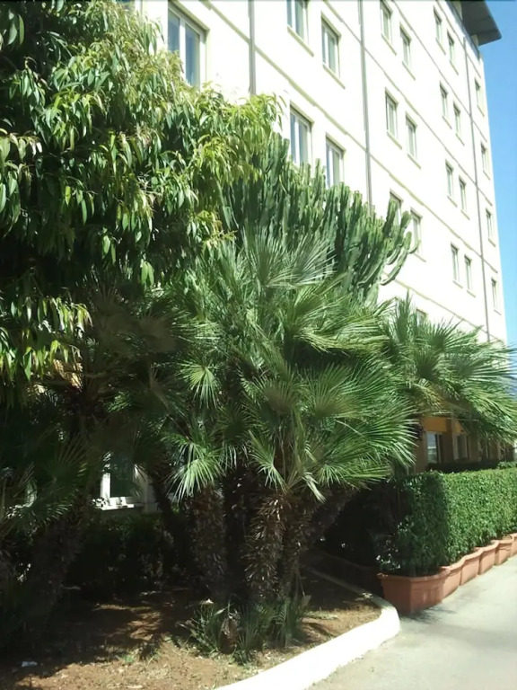 CIT Hotels Dea Palermo