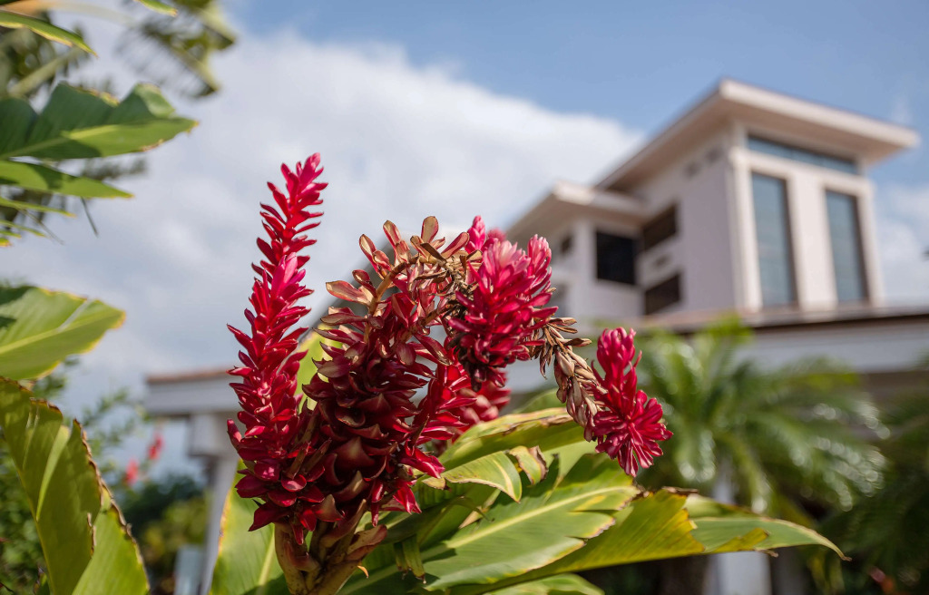 Maui Coast Hotel