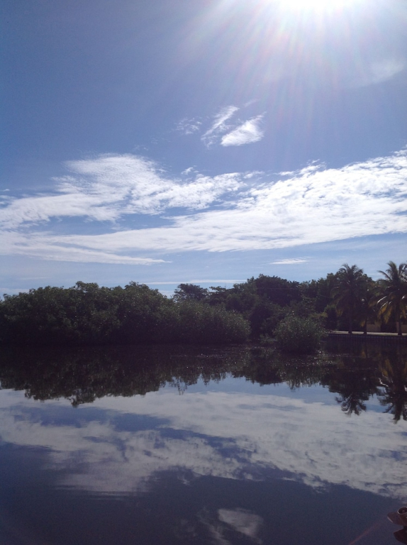 SailFish Resort