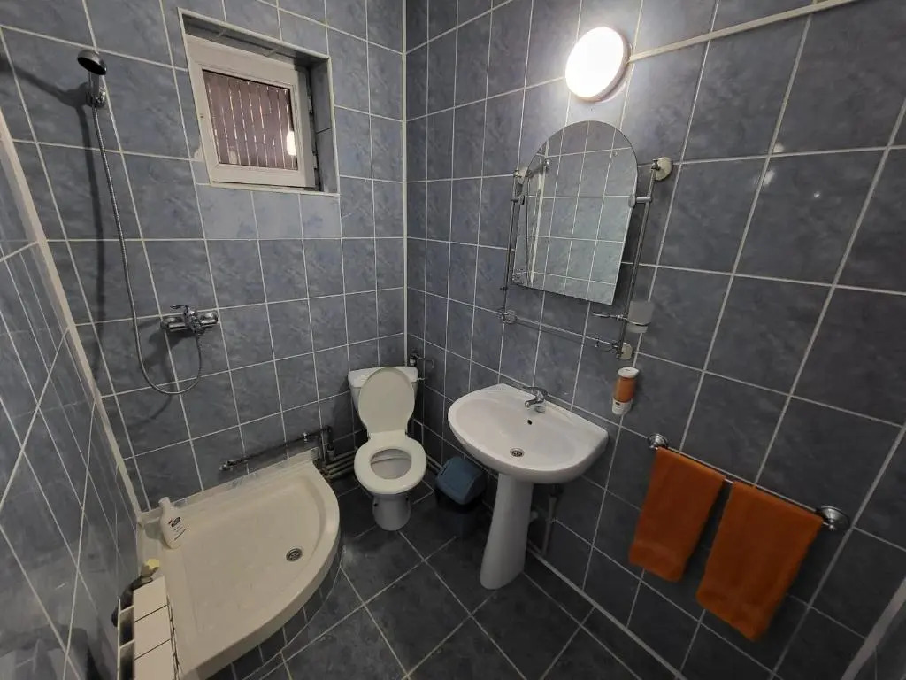 Vila 41 Busteni