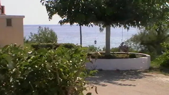 Beach Bungalows