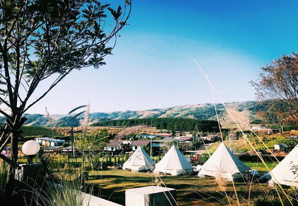 Kondee Cino Glamping