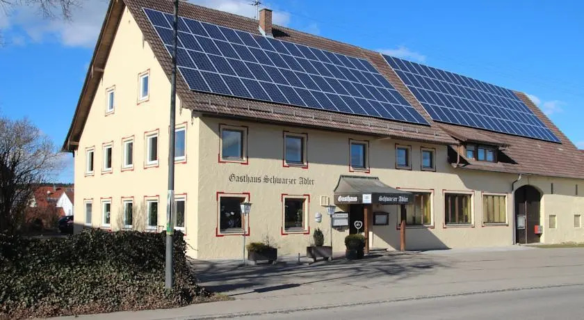 Schwarzer Adler